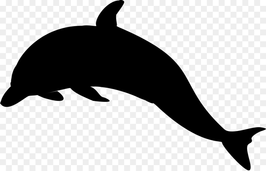 Seelöwe Miami Dolphins Delphin Killerwal ClipArt - 