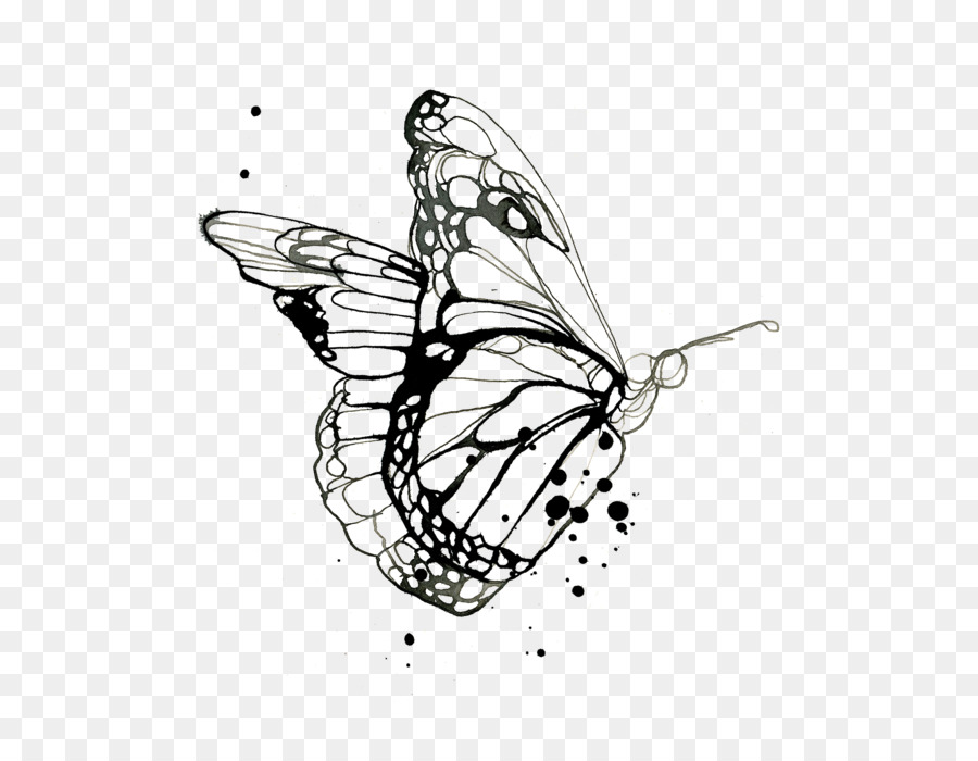 Tatuaggio del libro da colorare del disegno di disegno della farfalla di monarca - 
