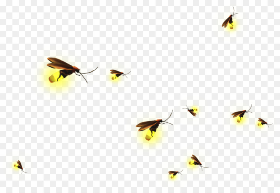 Clip nghệ thuật đồ họa mạng di động Firefly Hình ảnh côn trùng - đom đóm bay