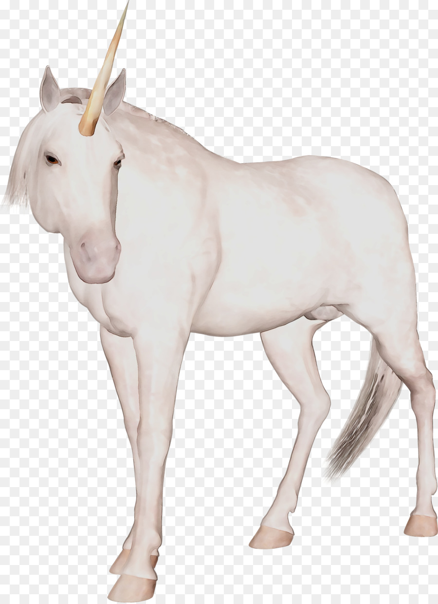 Con Ngựa Mustang Chú Ngựa Stallion - 