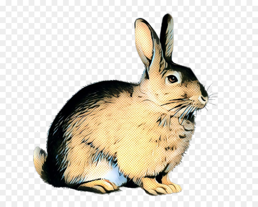 Feldkaninchenkaninchen des inländischen Kaninchens Hase - 