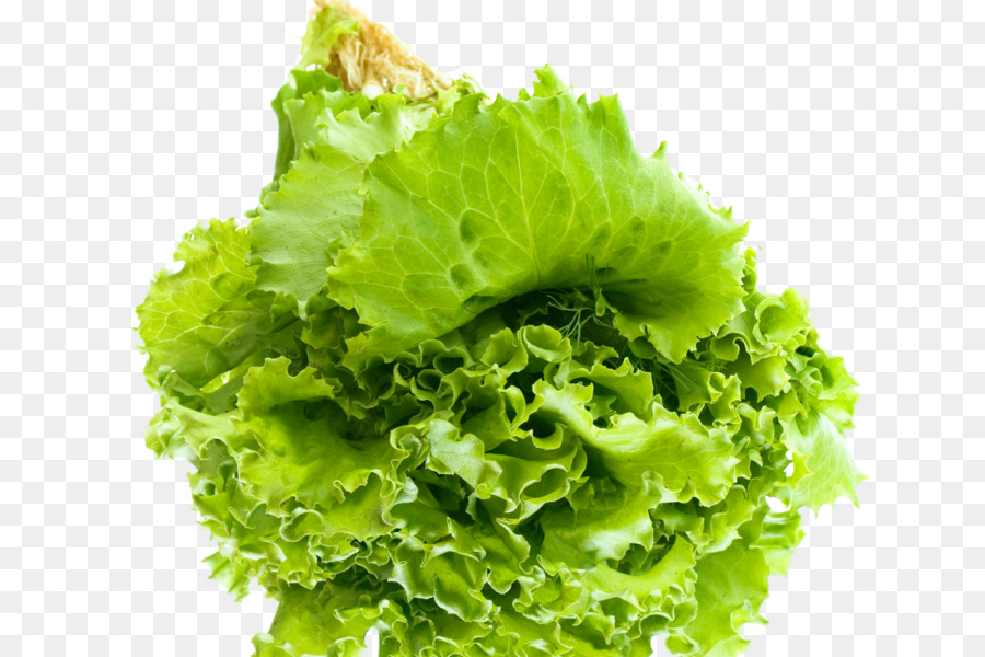 Vegetarische Küche des grünen Salat-Endivie - Salat