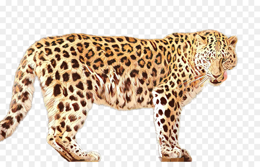 Leopard Jaguar Cheetah Ocelot Fauna - 