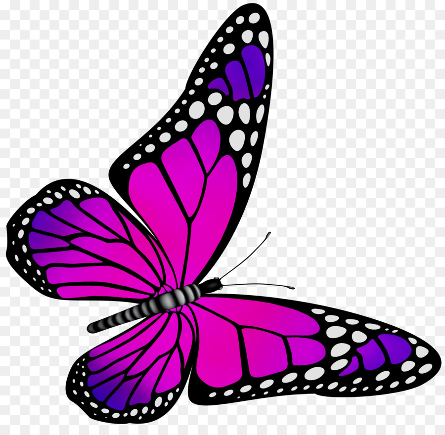 Monarchschmetterling Schmetterlings-ClipArt Pieridae Purple - 