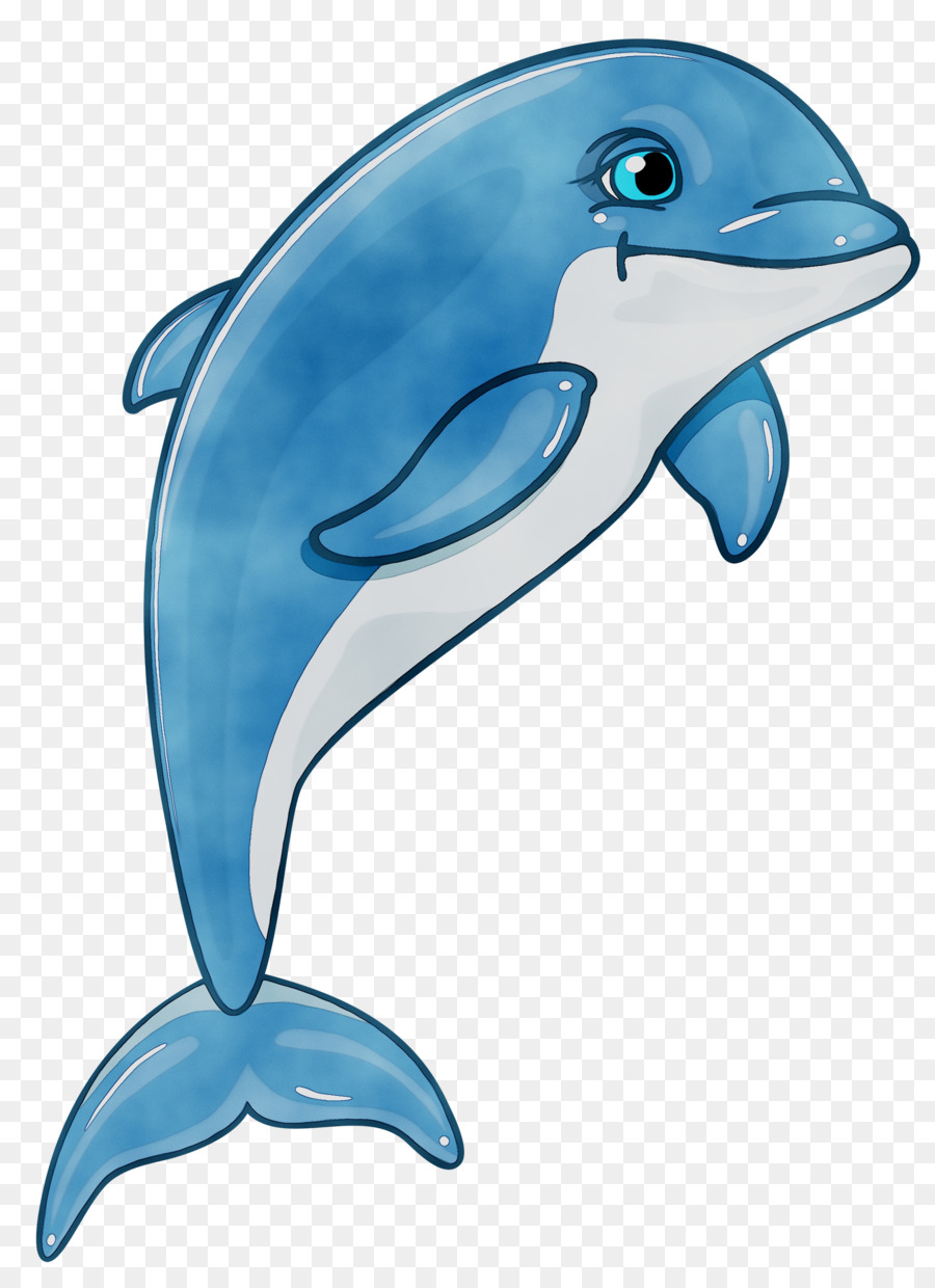 Dolphin Cartoon