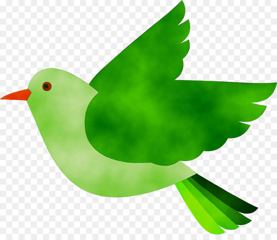 Clip art Đồ họa mạng di động Bird Trans minh bạch Chuyến bay - 