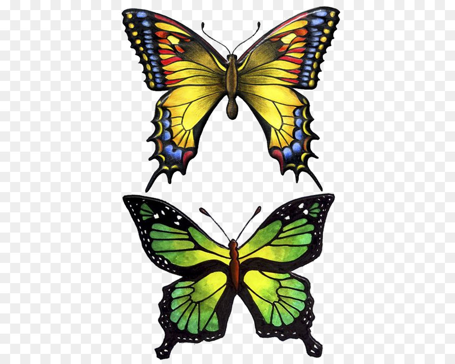 Ulisse farfalla Insetto Vecchio mondo coda di rondine Malachite - farfalla disegno falene png
