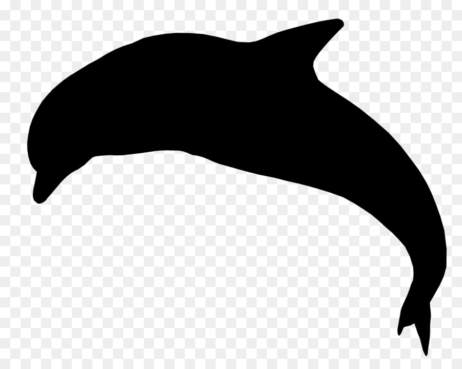 Delfino tursiope comune Cetacei Whales Tucuxi - 