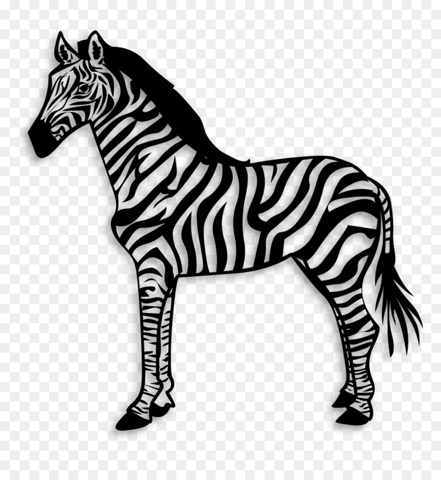 Pony Quagga Mustang Zebra Area - 