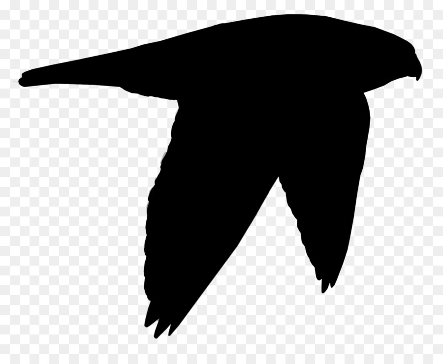 Beak Clip nghệ thuật Black Bird Silhouette - 