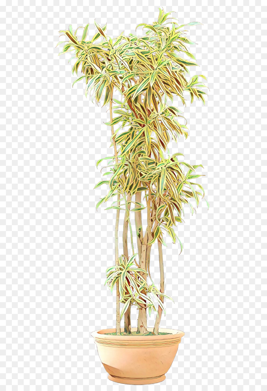 Stelo della pianta da appartamento Arecales della pianta del vaso da fiori - 