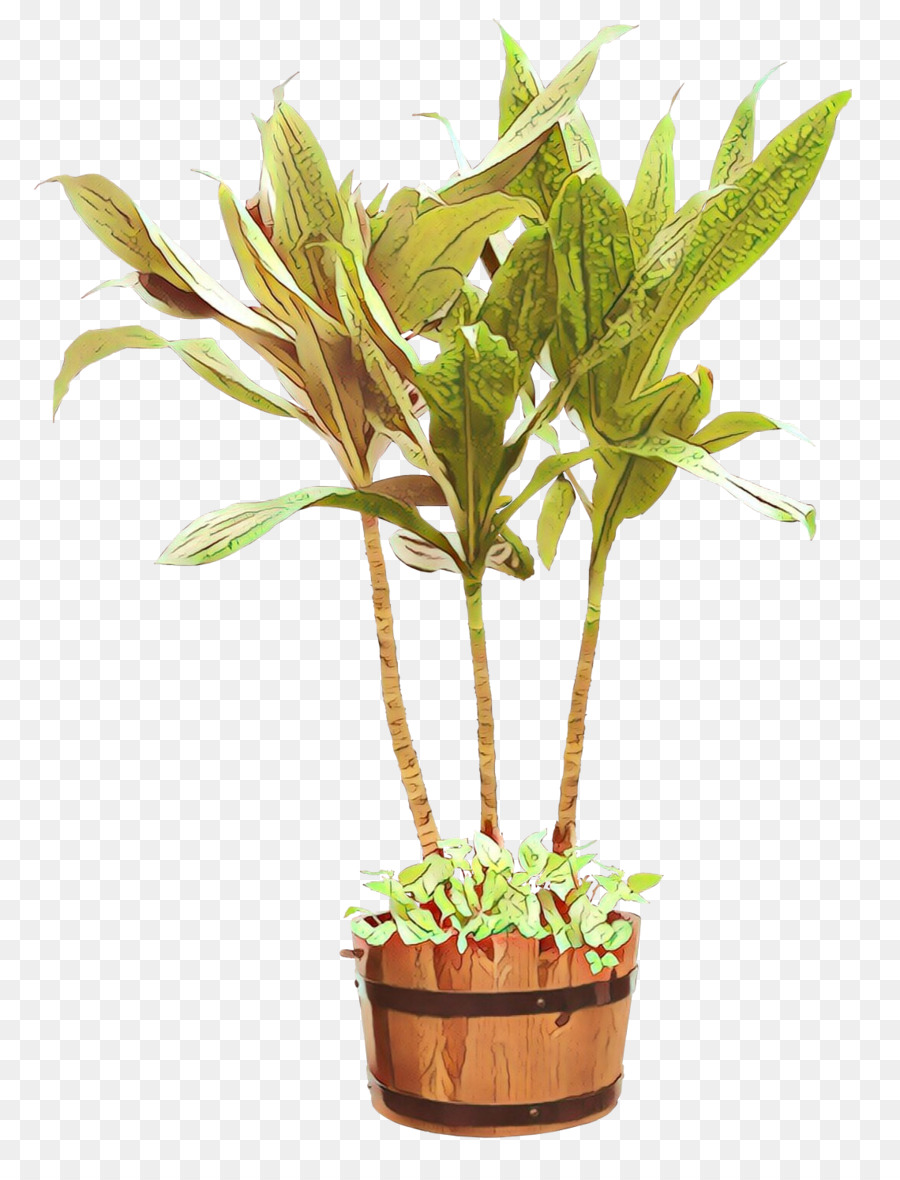 Houseplant Flowerpot Cây thân cây Thảo mộc - 