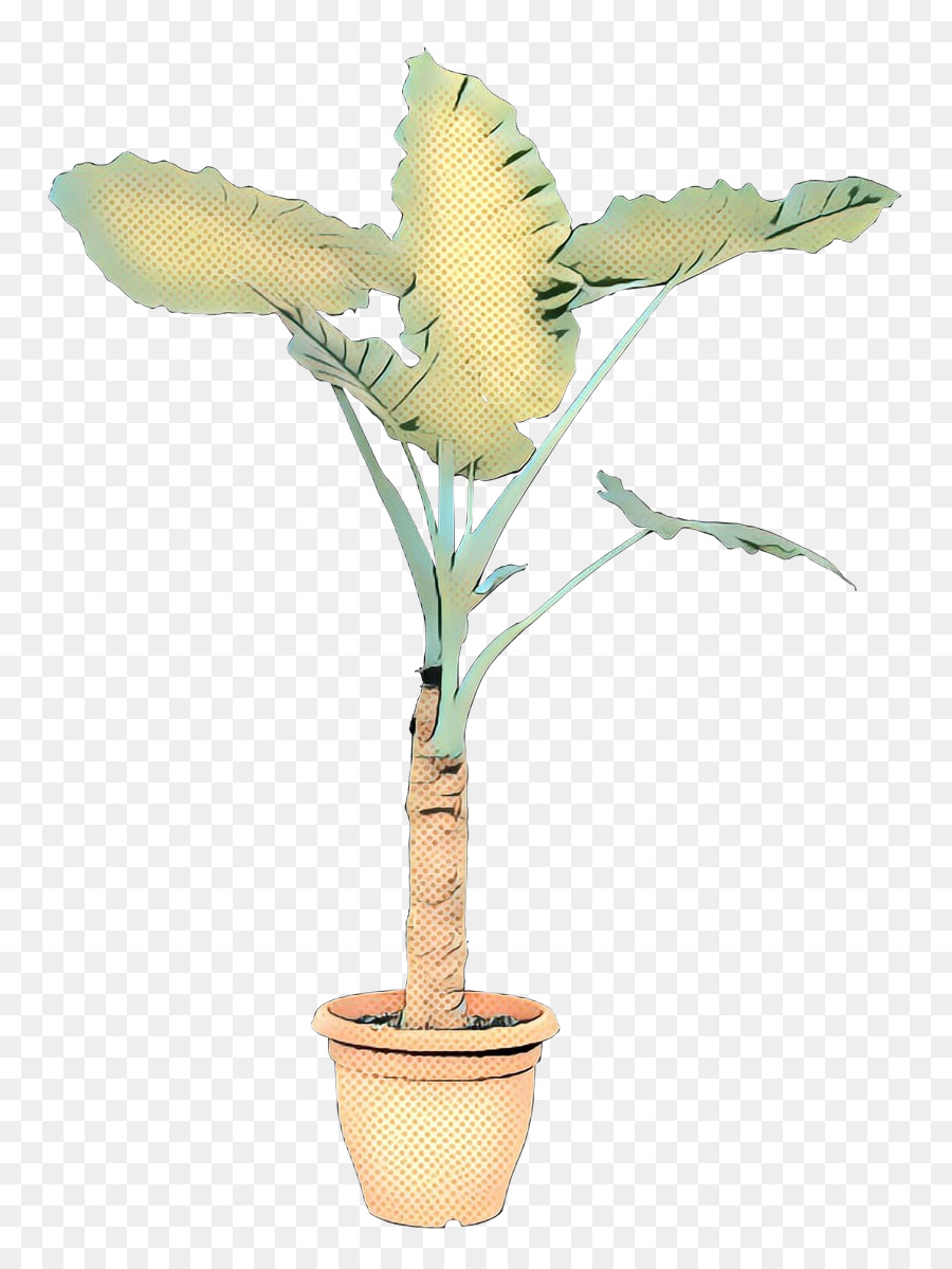 Flowerpot Houseplant Indoor bonsai Tree - 