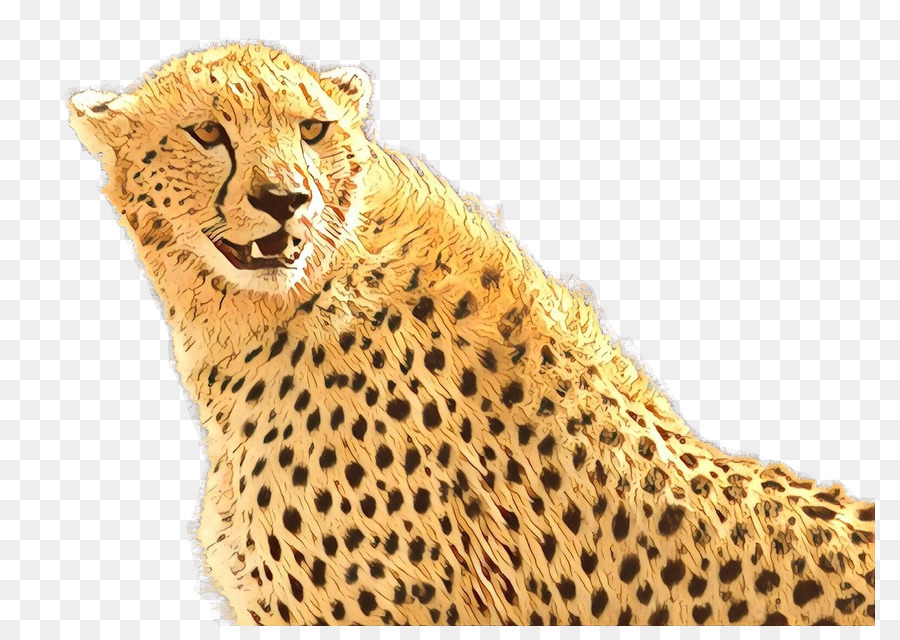 Desktop Wallpaper Tiger Cheetah Bildauflösung - 