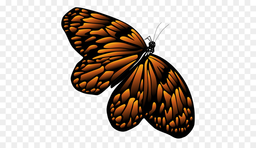 Illustrazione dell'illustrazione di riserva della farfalla di monarca - farfalla
