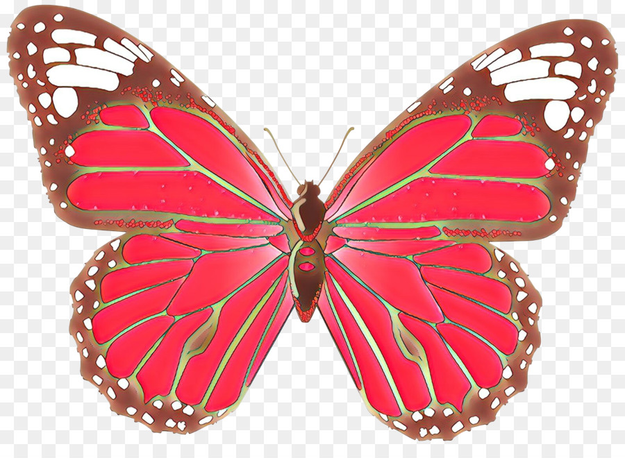 ClipArt-Schmetterlings-tragbares Netzwerk-Grafik-Bild Openclipart - 