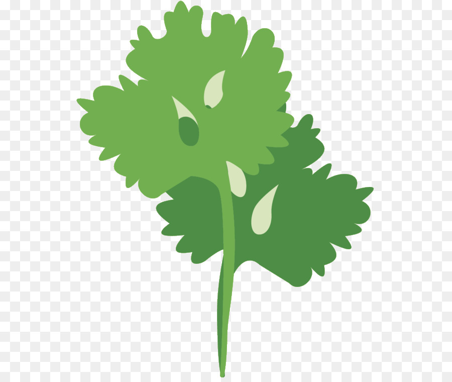Clip art Greens Illustration Foglia Stelo vegetale - 