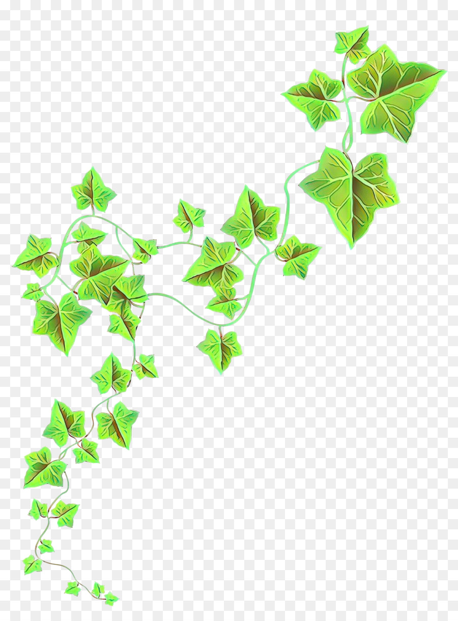 Zweig, Pflanze, Stamm Blatt Pflanzen - 