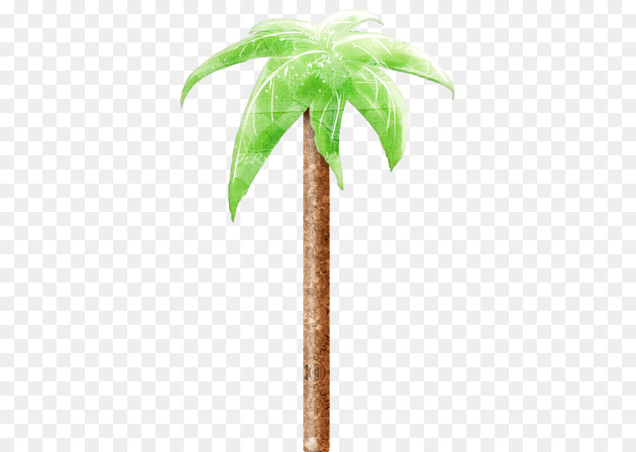 Piante di palma da dattero Piante di palma da dattero - cocco palm png