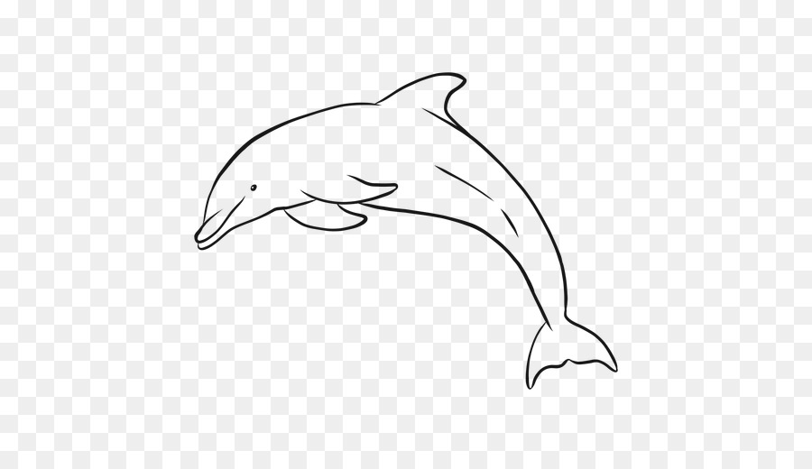 Hình ảnh cá heo mũi chai phổ biến - cá heo vẽ png nhảy