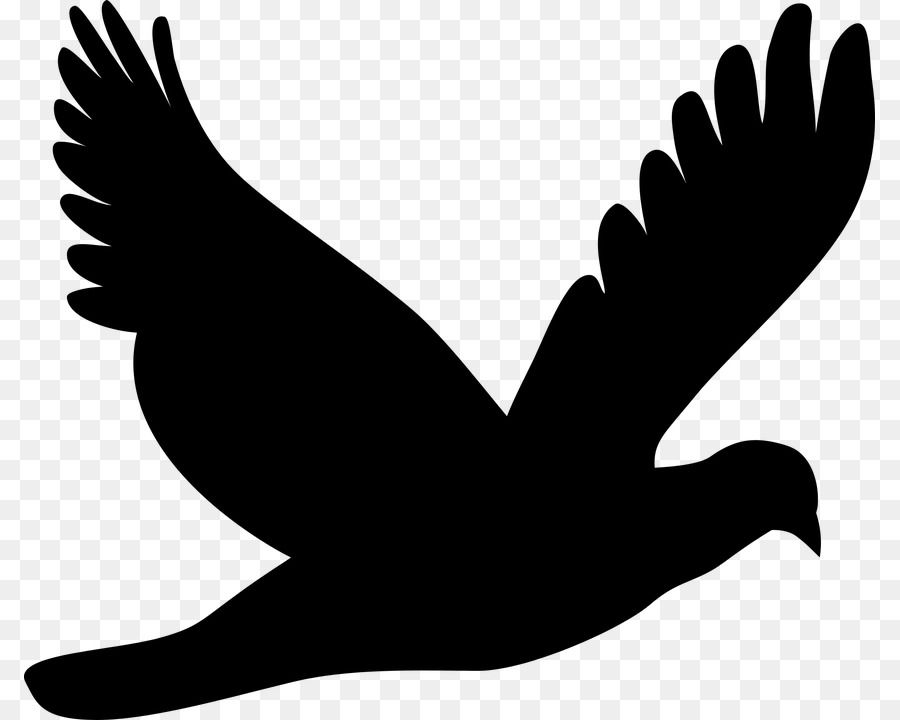 Đồ họa Vector Clip nghệ thuật Chim bồ câu Silhouette và bồ câu bay - gà bóng png vector