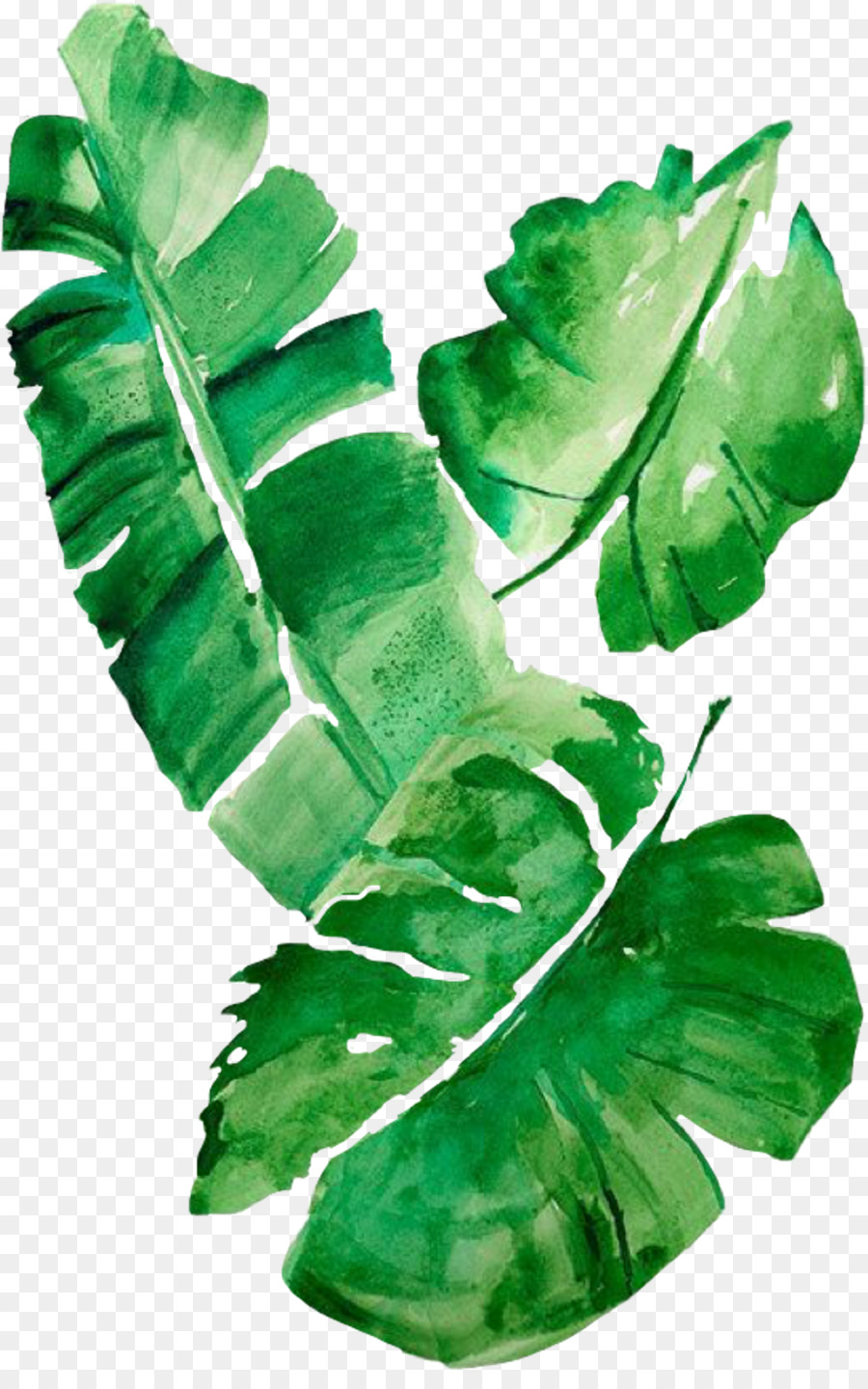 Dipinto ad acquerello Foglia di banana Art - foglie verdi primavera