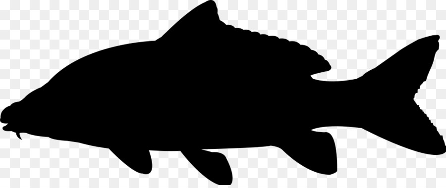 Silhouette Clip nghệ thuật đồ họa Vector Minh họa - cá bóng png cá bass