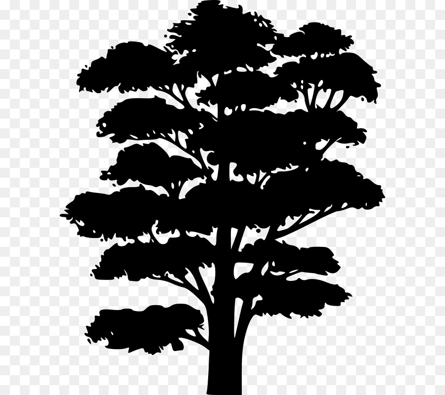 Clip nghệ thuật Silhouette Tree Branch Oak - cây bóng png clipart