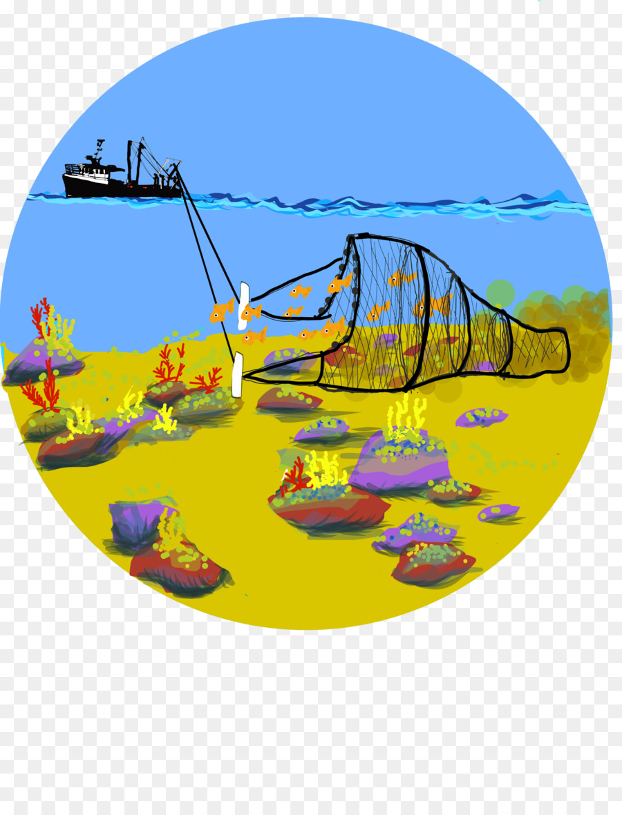 Tecniche di pesca Rete a rete - rete da pesca con rete png