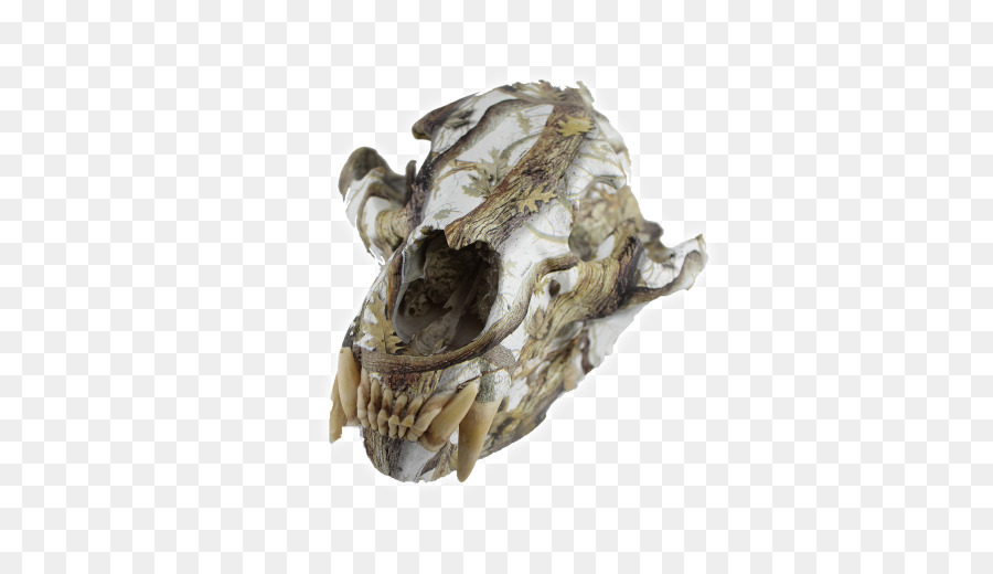 Copertura del cranio Infinito Finiture Mascella Cervo dalla coda bianca - Cranio Di Animale