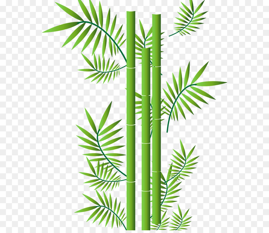 Tropical woody bamboos Grafica vettoriale Portable Network Graphics Drawing - png di bambù fortunato