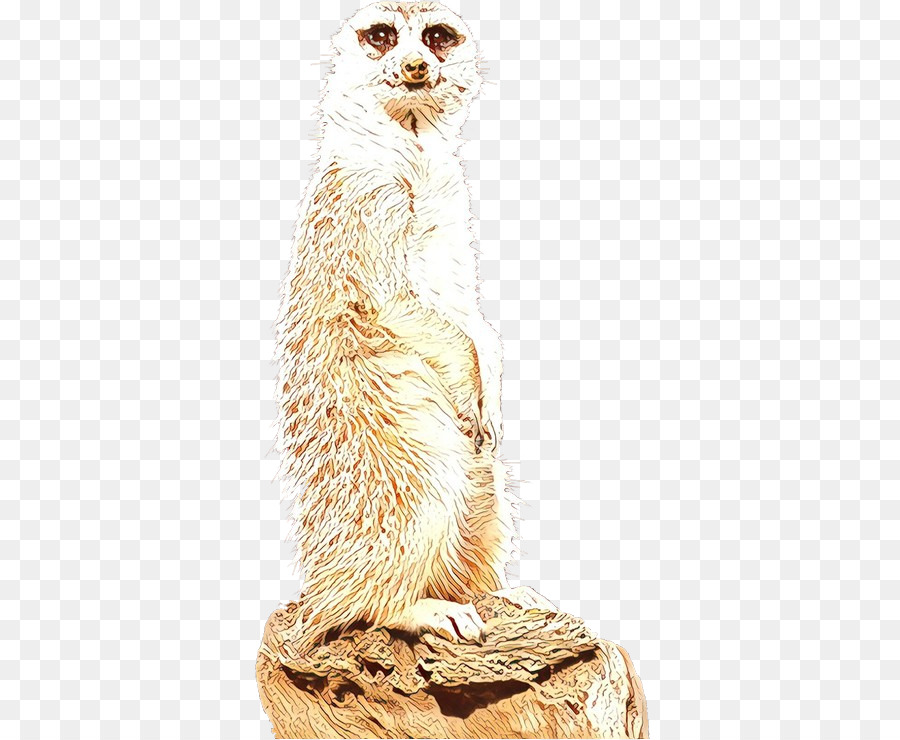 Whiskers Meerkat Fur - 