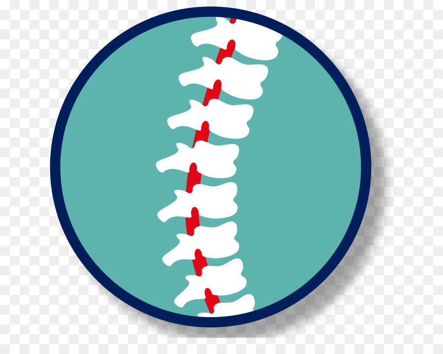 Lesione del midollo spinale ClipArt Salute Manipolazione spinale - midollo spinale del midollo spinale