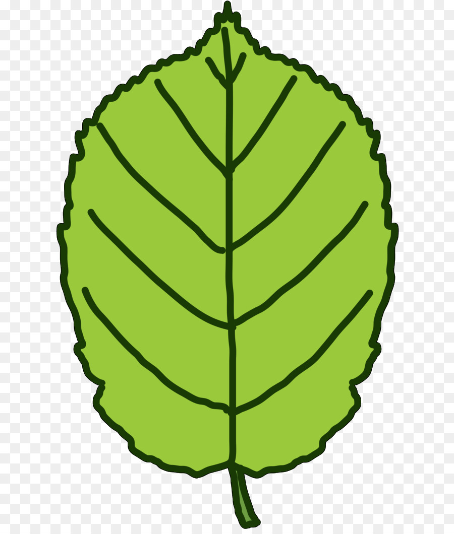 ClipArt Pflanzenstamm Leaf Line Commodity - 