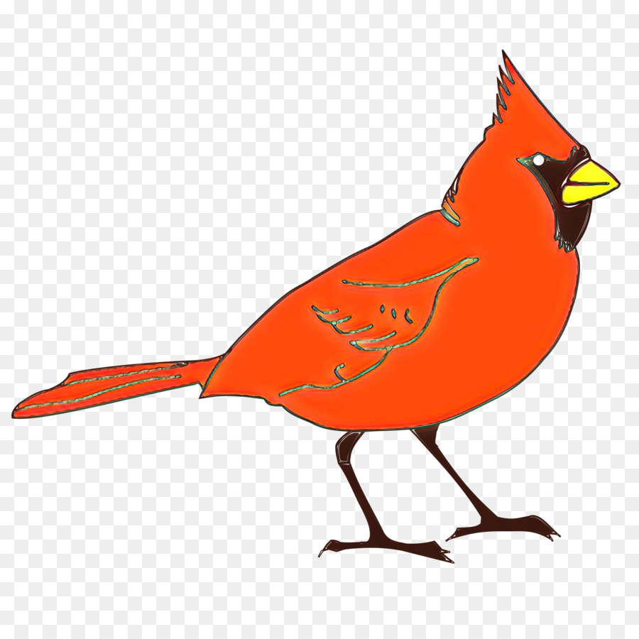 Cardinale settentrionale Bird St. Louis Cardinals Clip art - 
