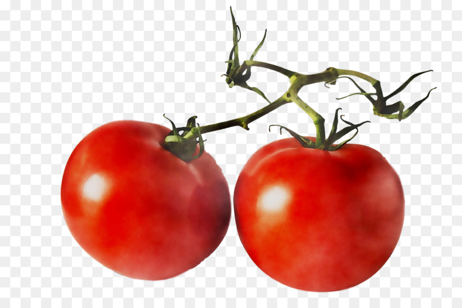 Tomate auf lagerfotografie Nahrungsmittelgemüse - 