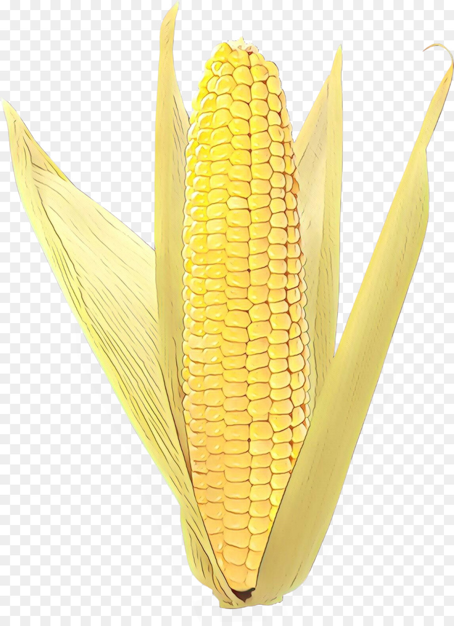 Corn on the cob Progettazione del prodotto - 