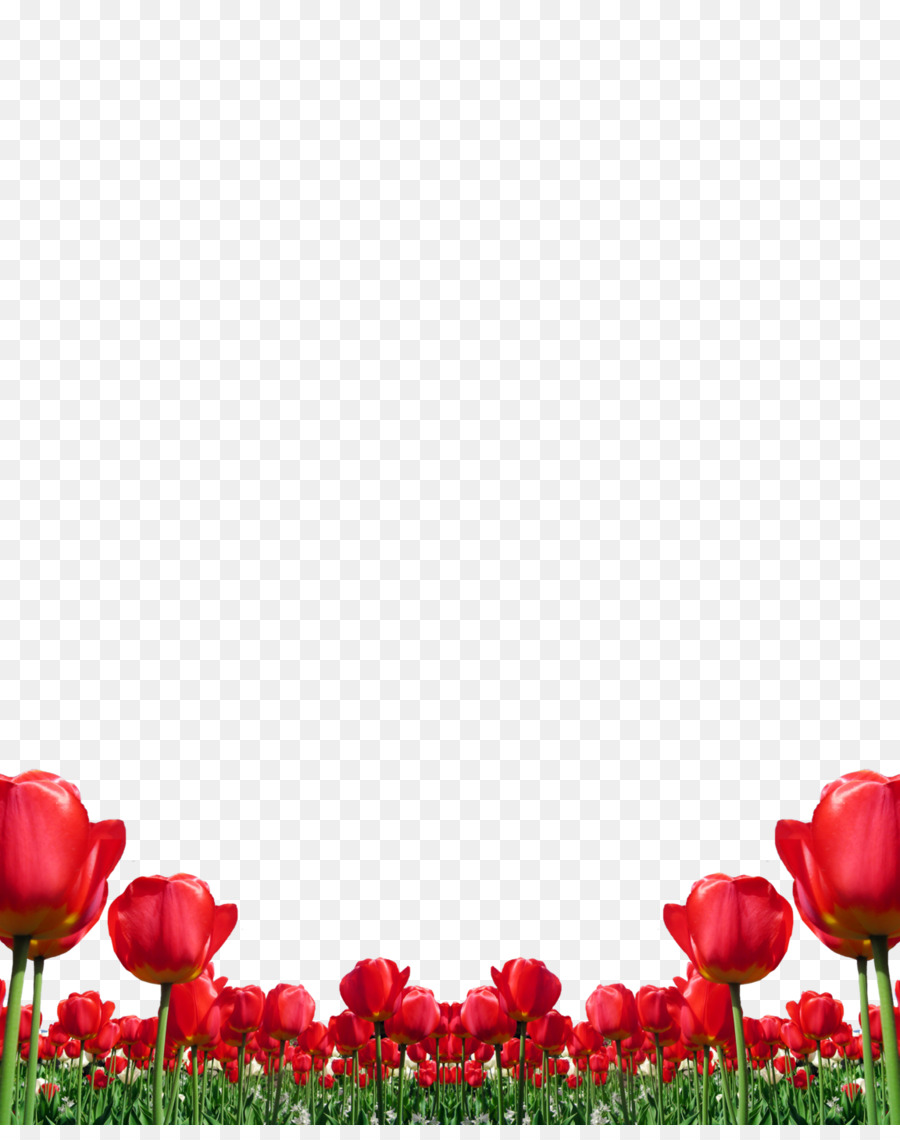 Đồ họa mạng hoa cầm tay màu đỏ - mẫu mẹ ngày png hoa tulip