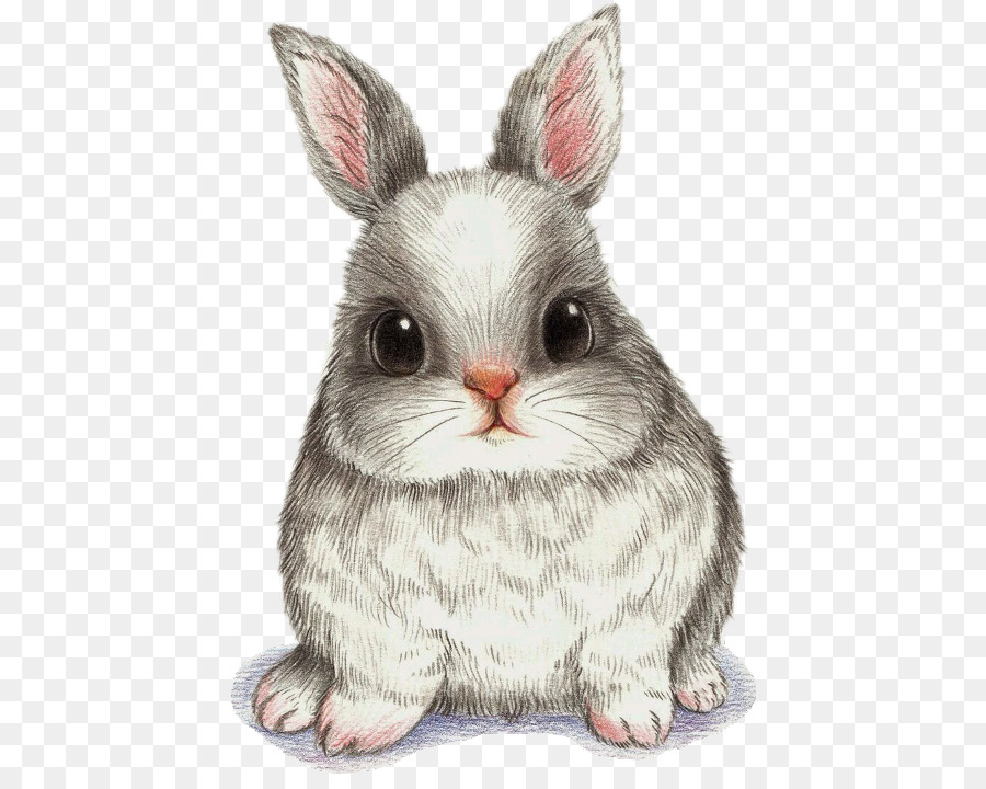 Vẽ bức tranh màu nước Nghệ thuật hình ảnh - chú thỏ dễ thương vẽ png phác  thảo png tải về - Miễn phí trong suốt Thỏ png Tải về.