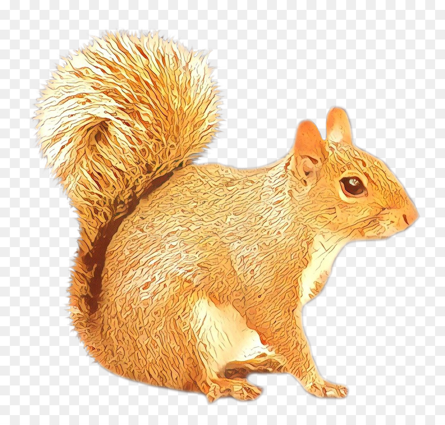 Amerikanisches Eichhörnchen Portable Network Graphics Chipmunk Rodent - 