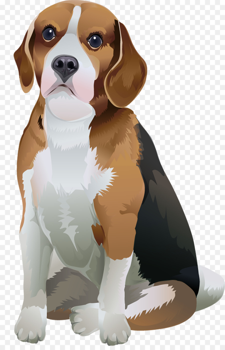 Dog Cartoon Png Download 1000 1538 Free Transparent Beagle Png Download Cleanpng Kisspng