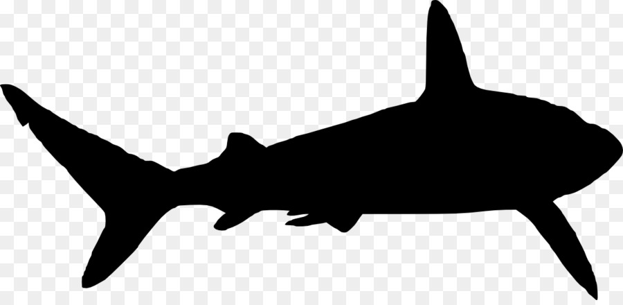 Sagoma di grafica vettoriale di grafica di rete portatile Shark Silhouette - logo di squalo