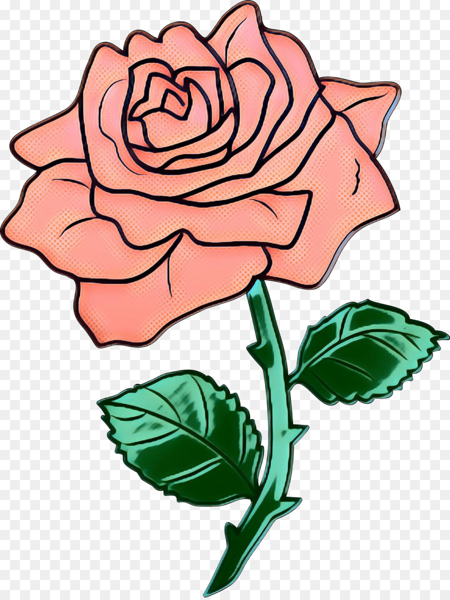 Vườn hoa hồng Bắp cải hoa hồng Thiết kế hoa nghệ thuật Cắt hoa - 