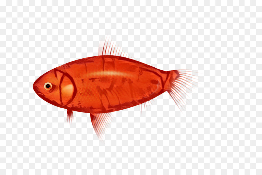 Pesce Orange S.A. - 