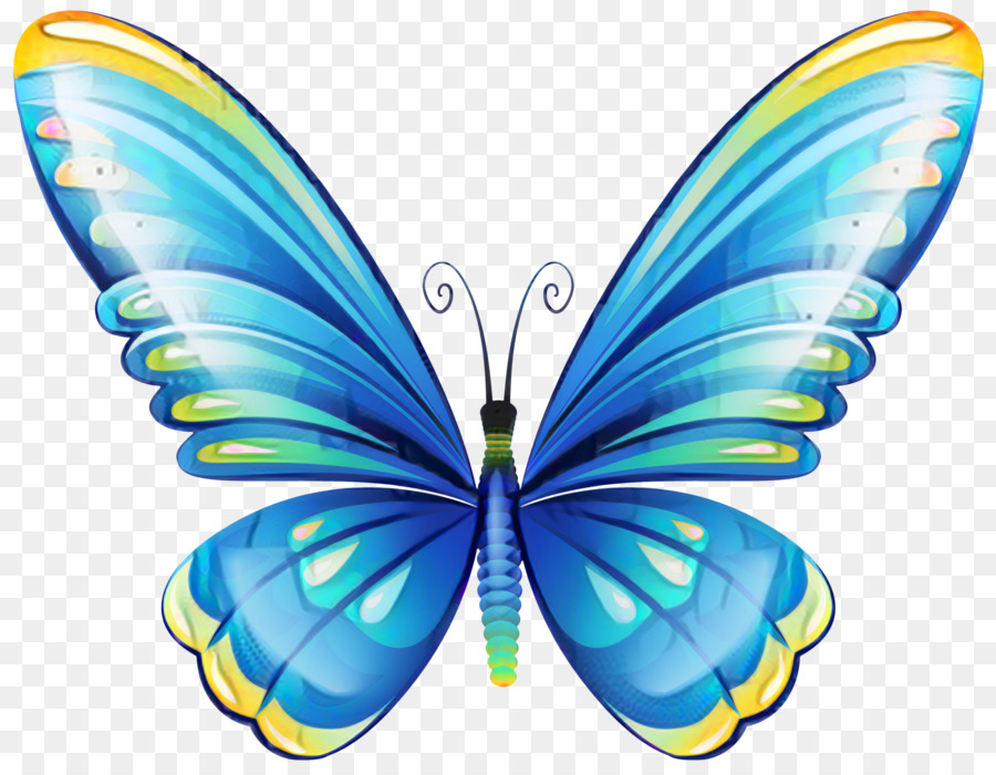 ClipArt Butterfly Portable Network Graphics Image Kostenlose Inhalte - 