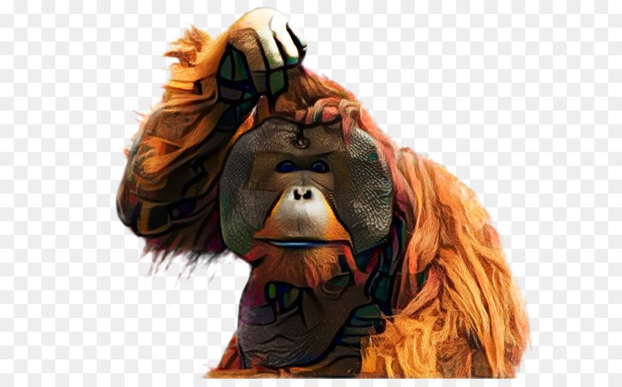 Scimmia scimmia gorilla scimmia orangutan ape - 