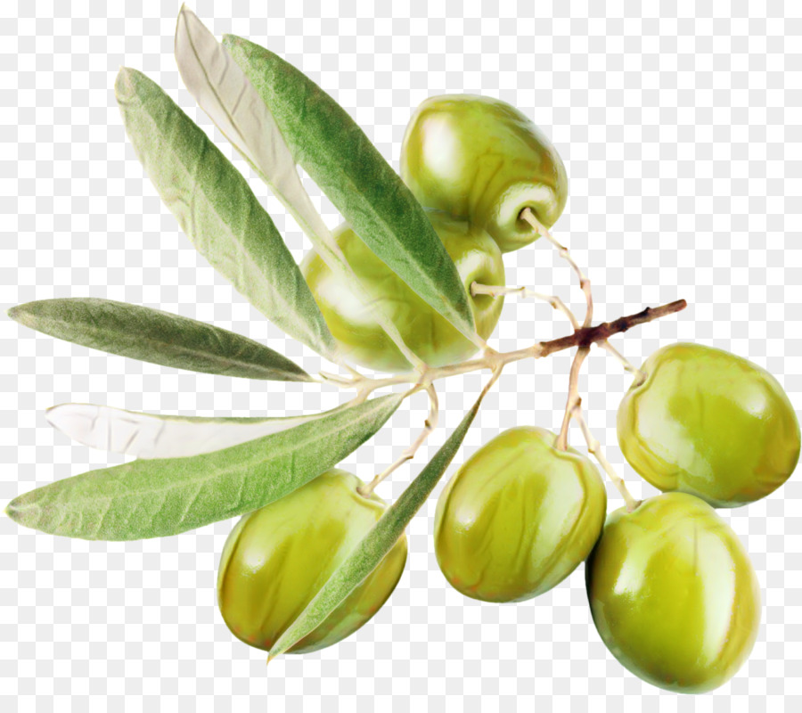 Tragbare Netzwerk-Grafik-Clip-Art für Olivenöl - 