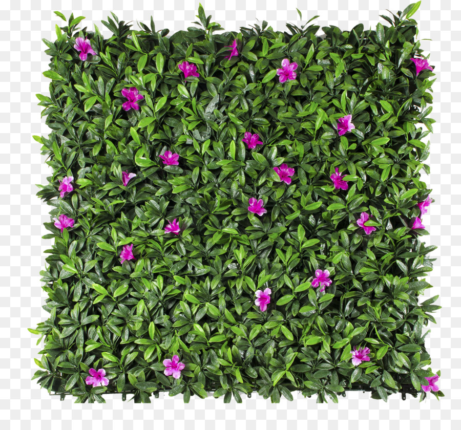 Follaje Green wall Garden Hedge - petunie