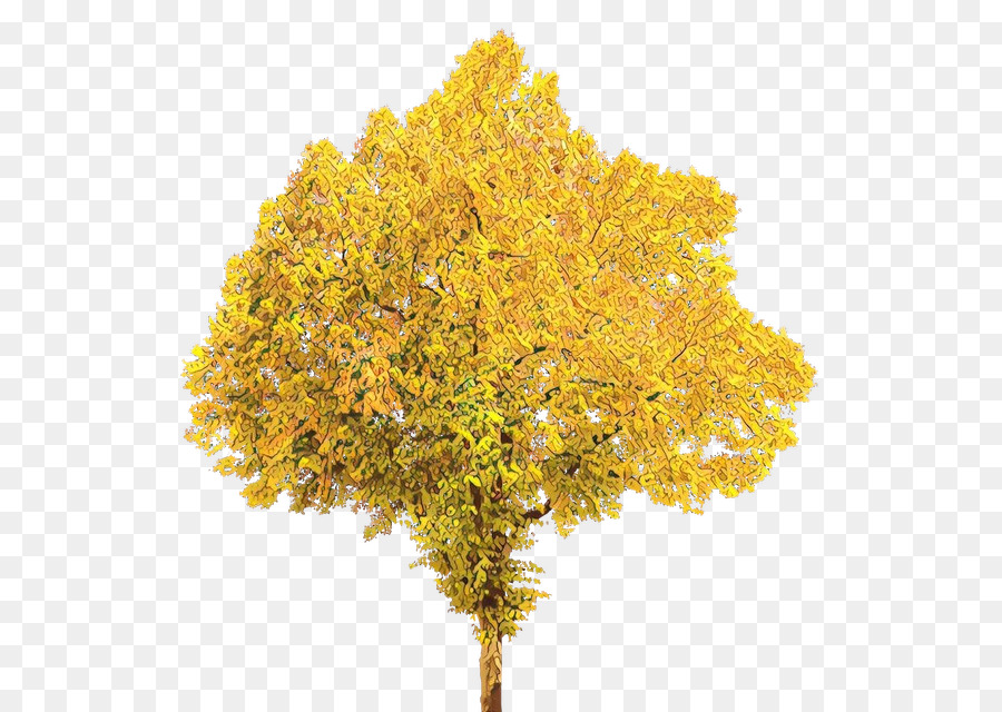 Autumn Tree Portable Network Graphics Clip art Autunno - 