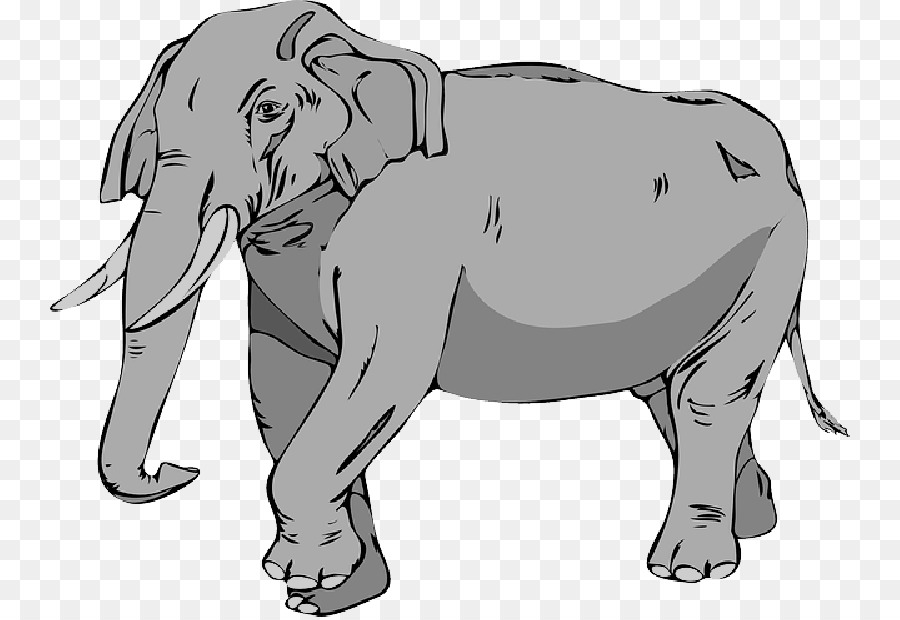 Elefante africano ClipArt di elefante africano Tusk - cartone animato di mammiferi